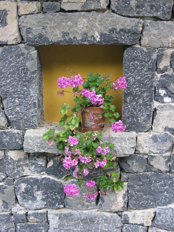 La Posada De Cucayo Dobres Luaran gambar