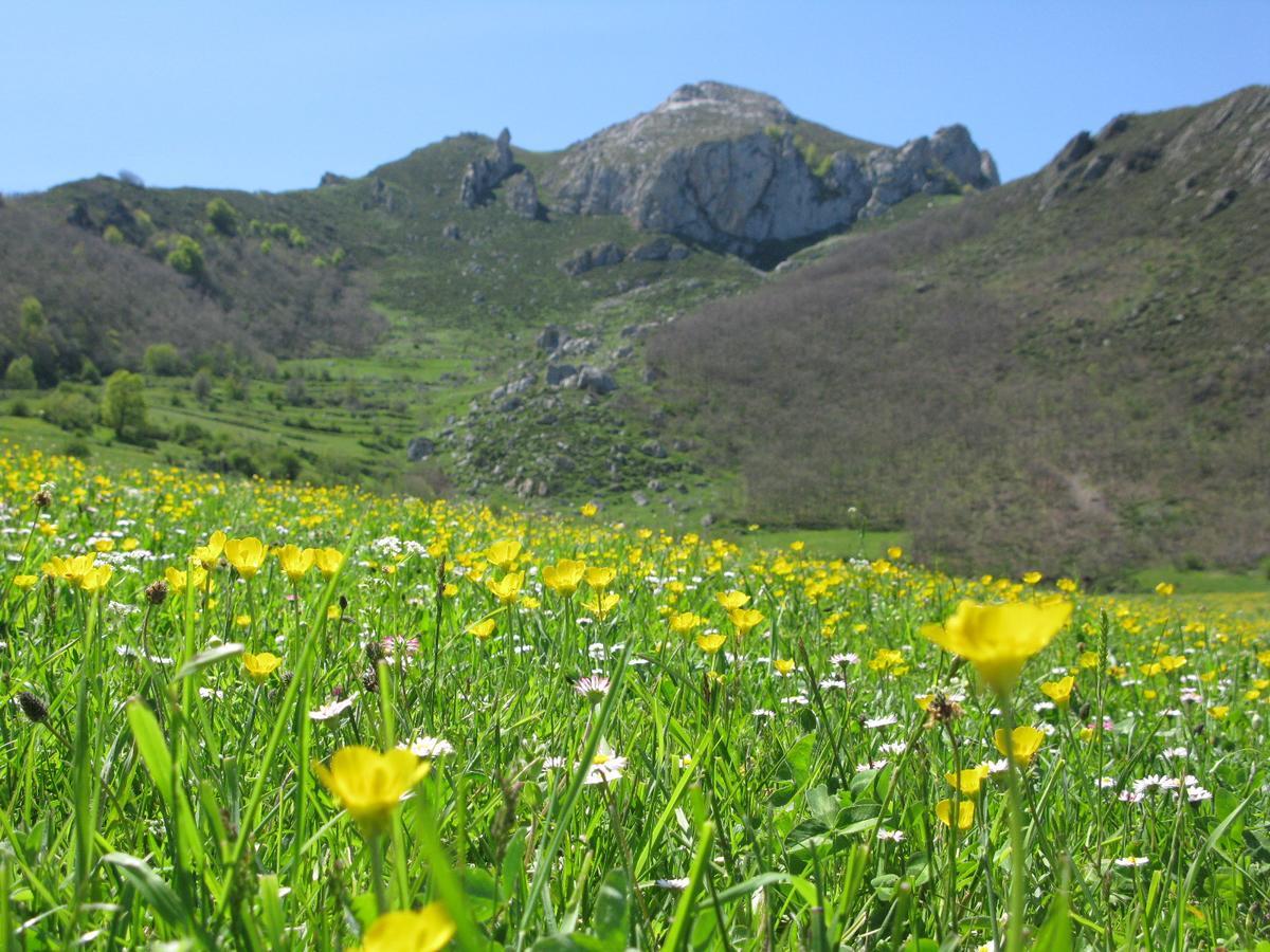 La Posada De Cucayo Dobres Luaran gambar